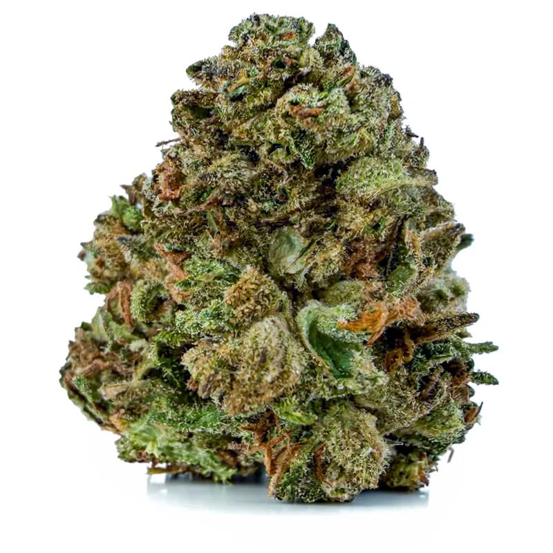 ROYAL GORILLA product listing