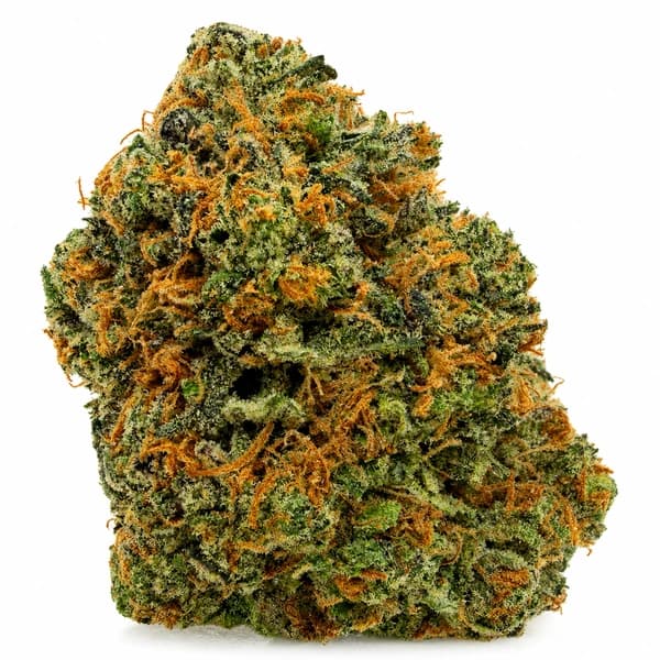 BLUEBERRY JUNKY