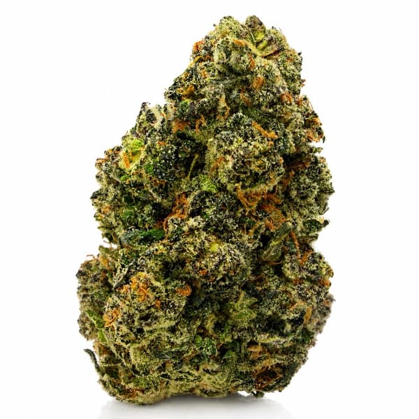PURPLE DRAGON (S) product listing