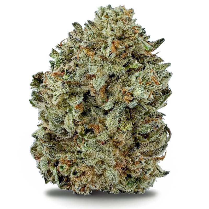 DAYDREAM DIESEL product listing