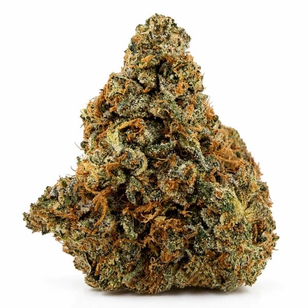 PINK GOO related flower listing