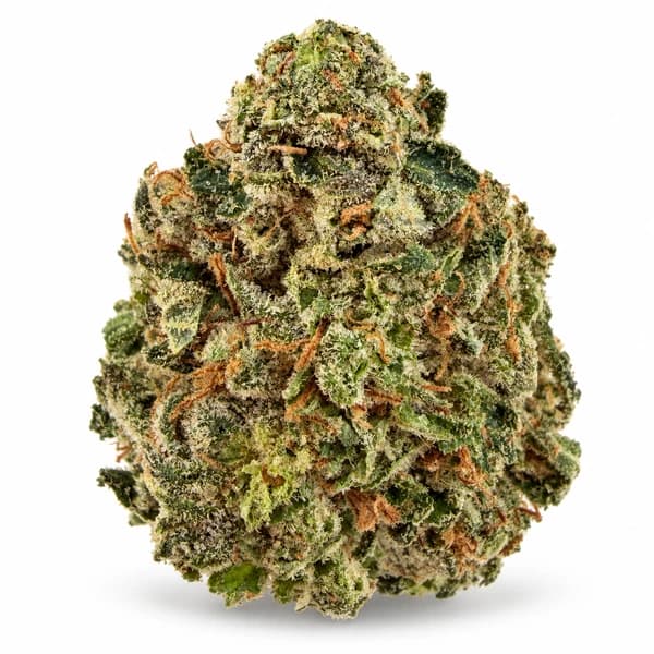 PINK ROCKSTAR related flower listing