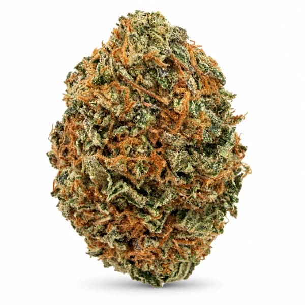 PINK GODZILLA related flower listing