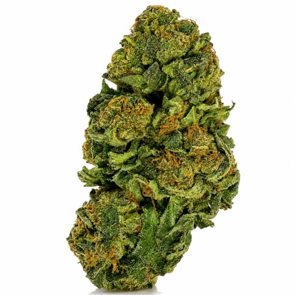 GRAPE FRUIT (S) product listing