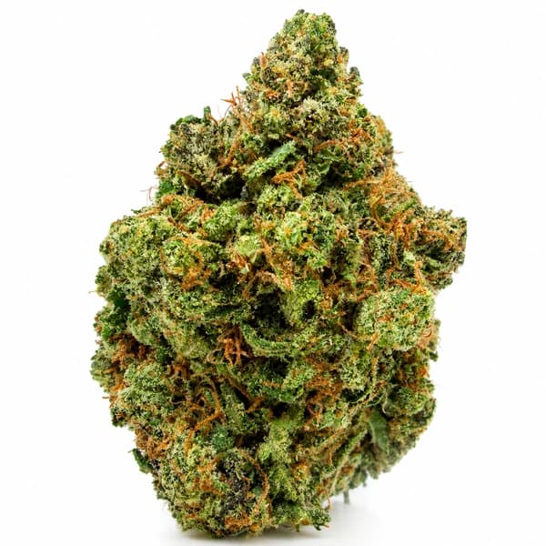 CHOCOLATE CHIP COOKIES (S) flower listing at Spirit Corner Cannabis