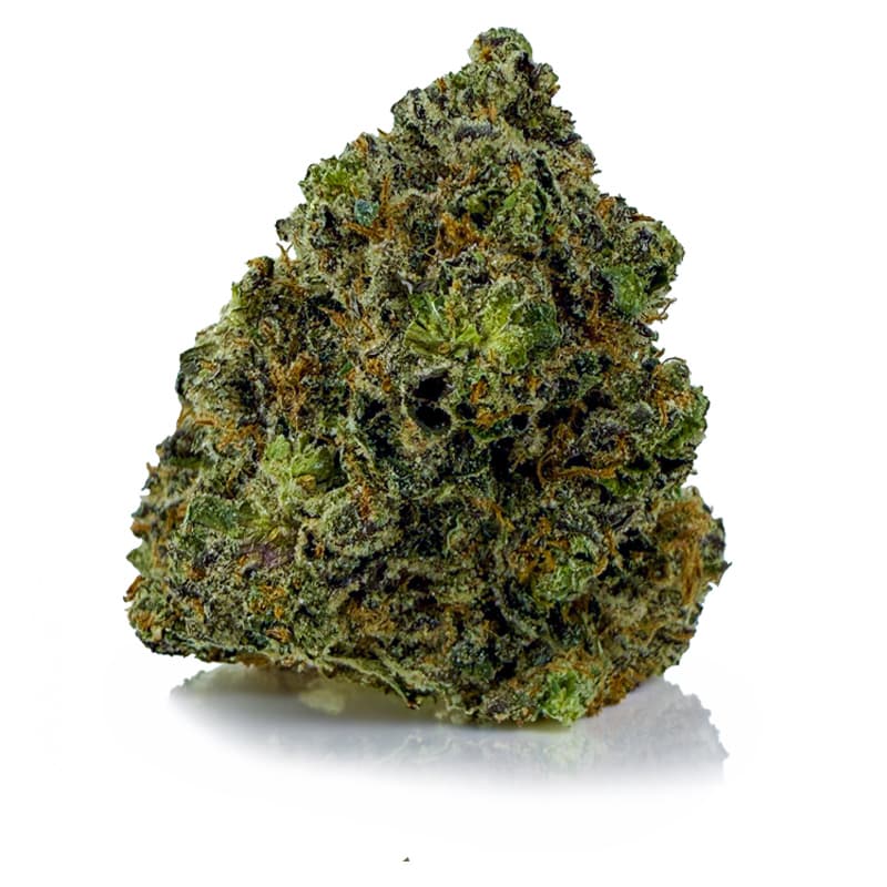 GMO COOKIES related flower listing
