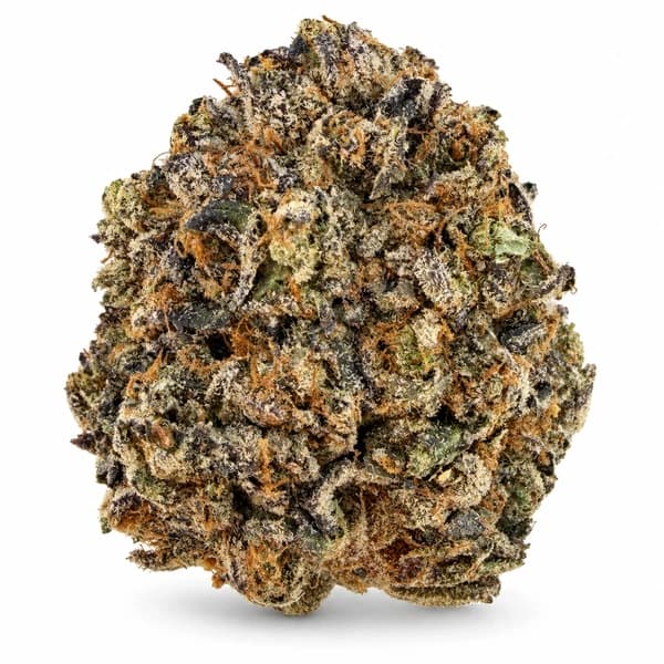 BLUE WAGU flower listing