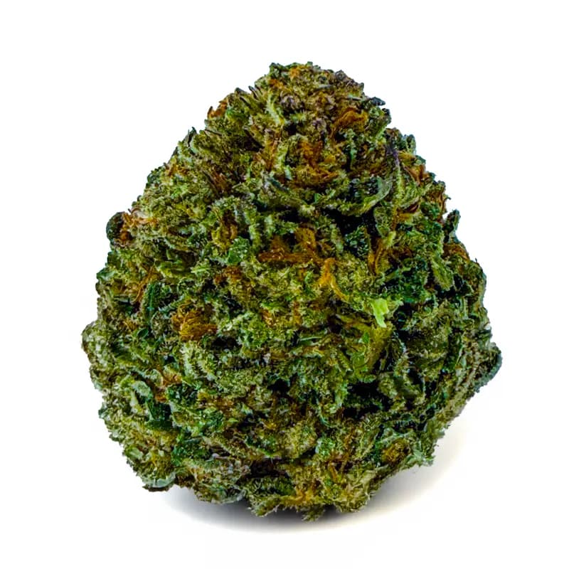 DANTE INFERNO product listing
