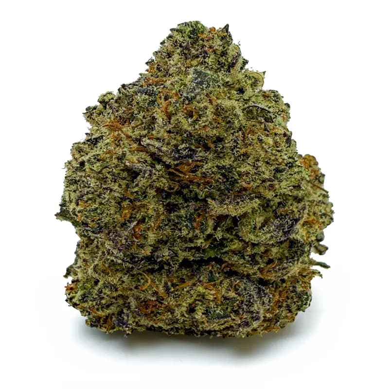 PURPLE SKUNK flower listing