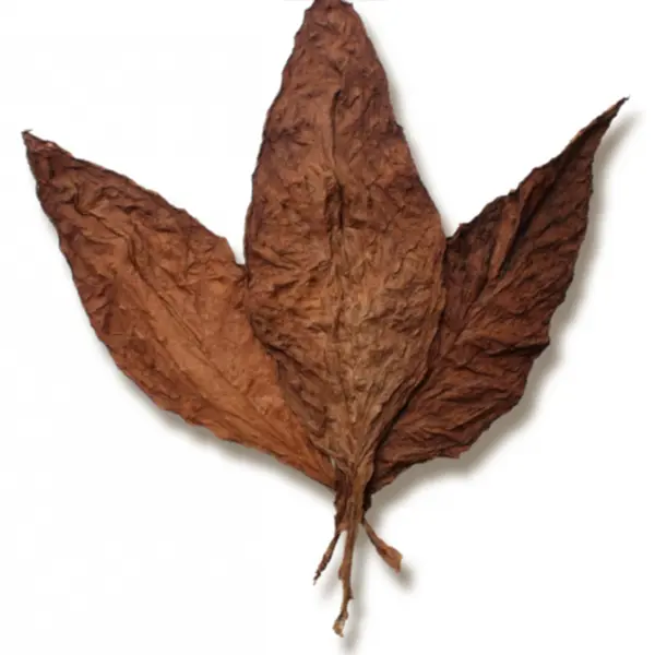 Grabba leaf product at Spirit Corner Cannabis in downtown Ottawa