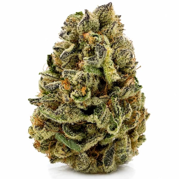 GOD GREEN CRACK related flower listing