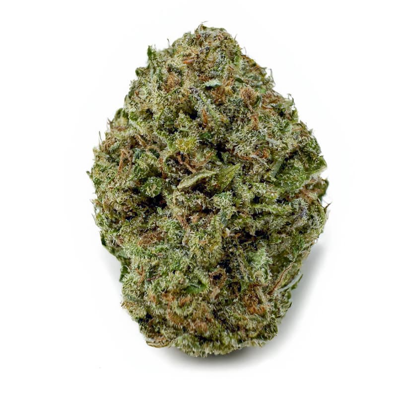 OG KUSH (AA) related flower listing