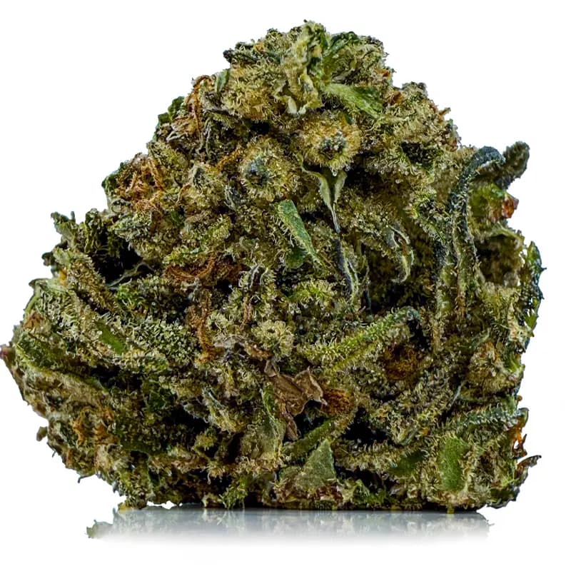 QUANTUM KUSH related flower listing