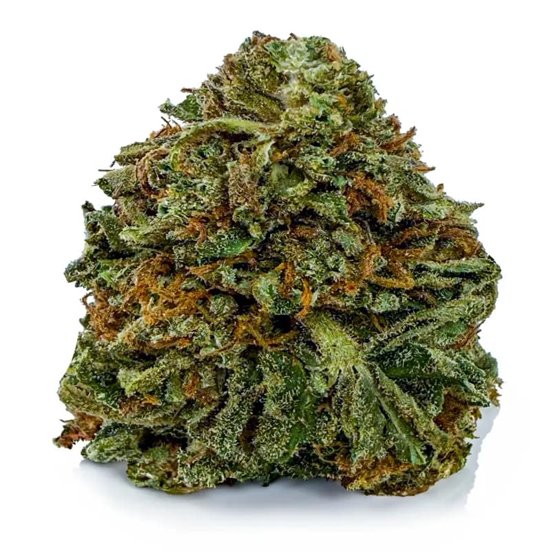 VANILLA ICE KUSH related flower listing