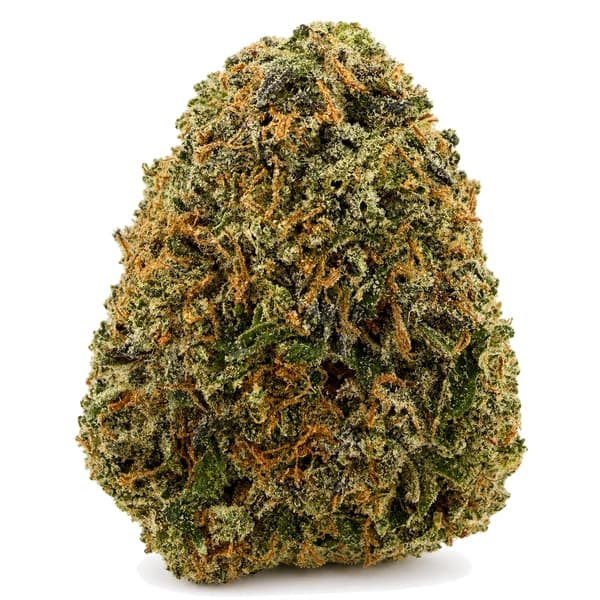 DEATH BUBBA related flower listing