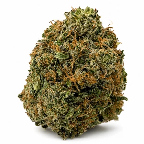 SUPER PINK KUSH related flower listing