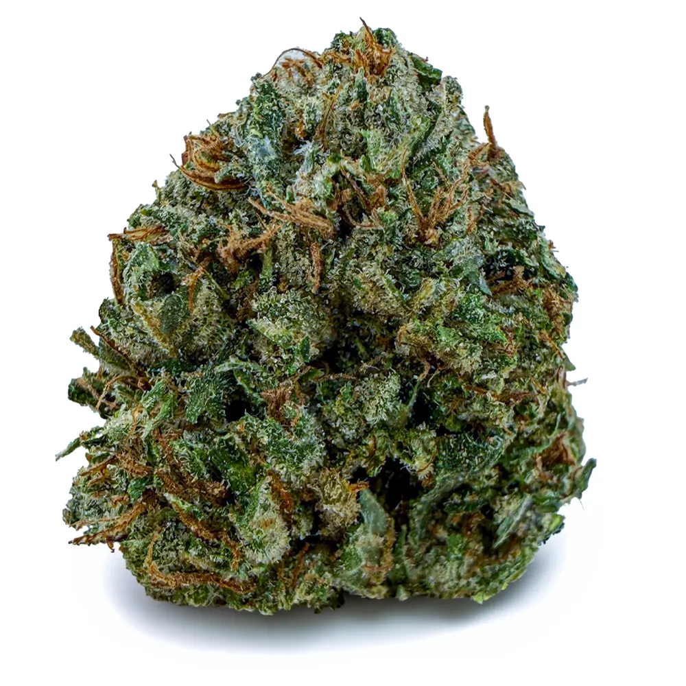 MUELLER FUEL related flower listing