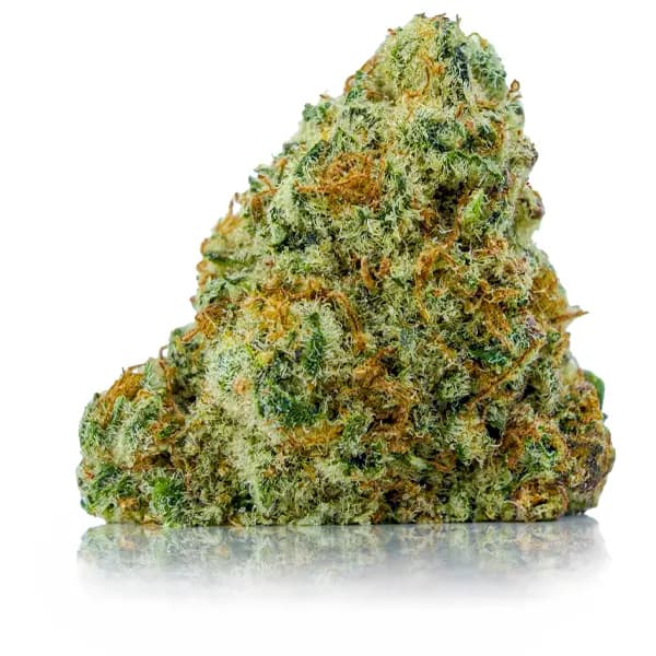 PINK HOLY GRAIL related flower listing
