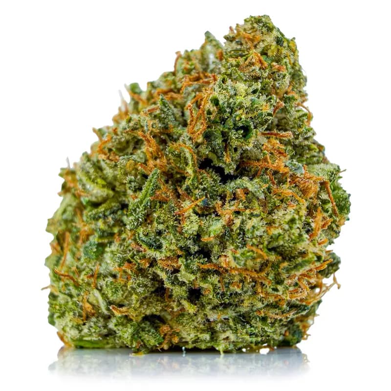 PINK SKYWALKER related flower listing