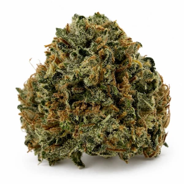 PINK SPACE COOKIES related flower listing