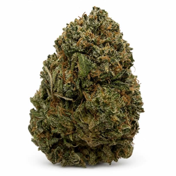 EL CHAPO related flower listing