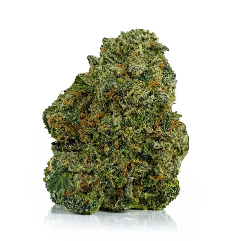 RAINBOW KUSH related flower listing