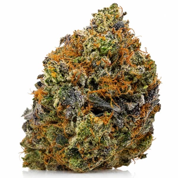 ESCOBAR PINK GAS flower listing