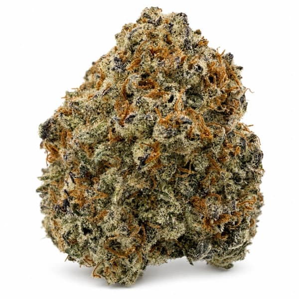 PINK ROYAL flower listing
