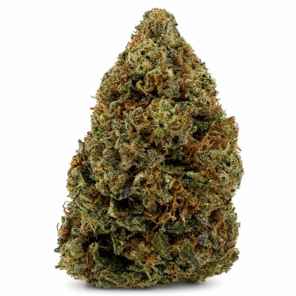 ALIEN SMACK PINK related flower listing