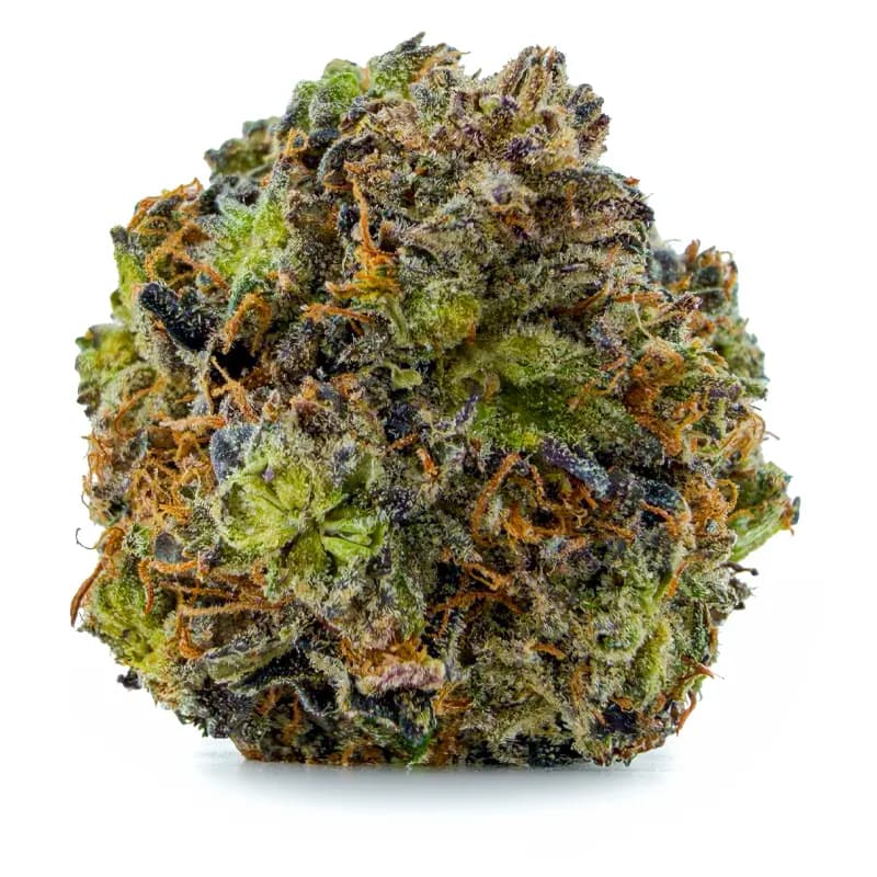 BUBBA STAR related flower listing