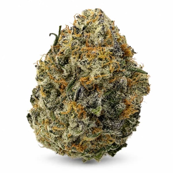 DEVIL DRIVER related flower listing
