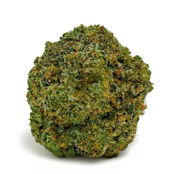 PINK DEATHSTAR related flower listing