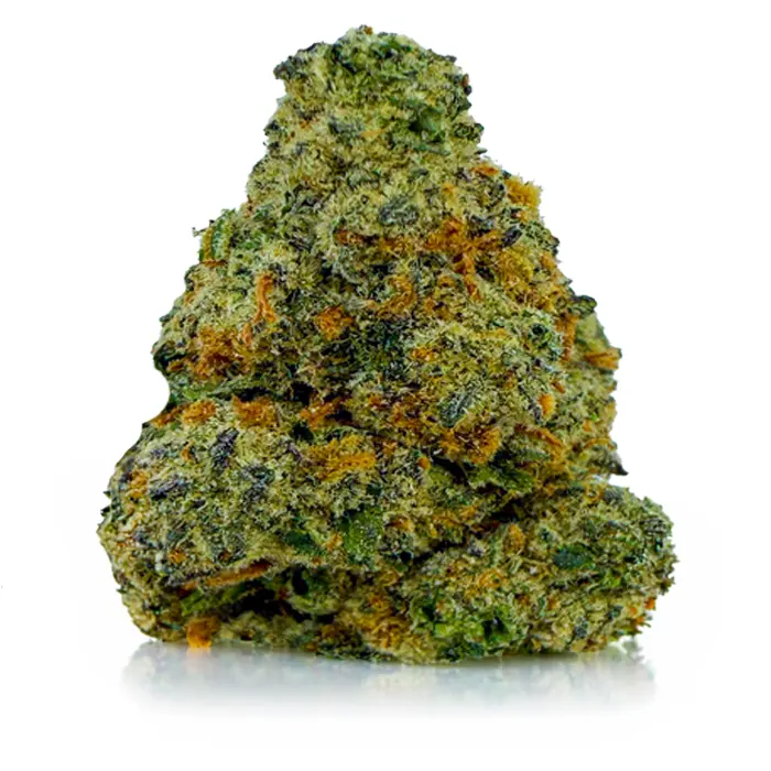 GREASE MONKEY related flower listing