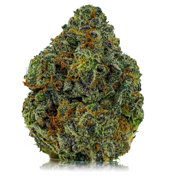 PINK JOKER flower listing