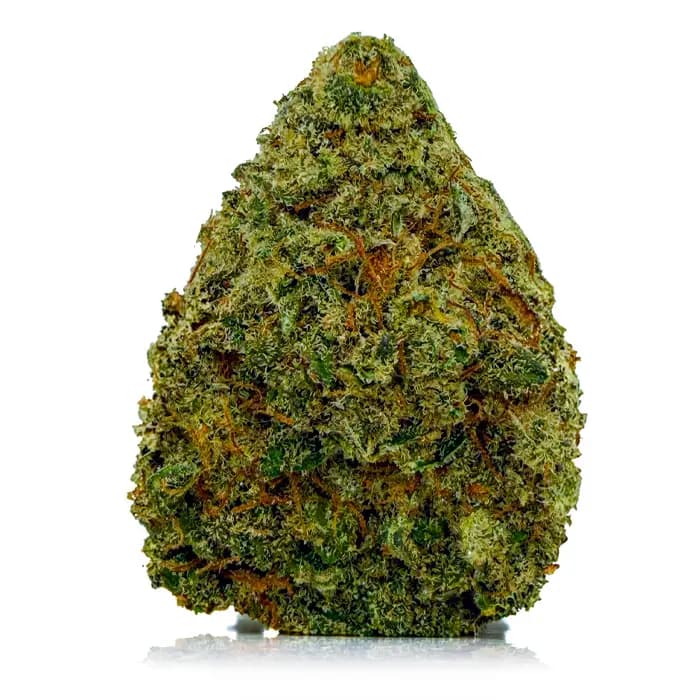 SUPER DRIP flower listing