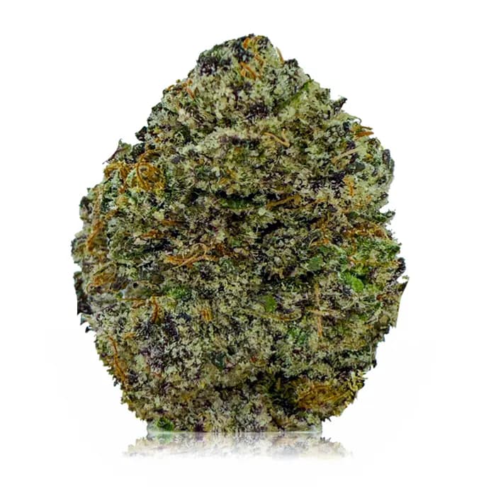 PINK ICKY STICKY related flower listing