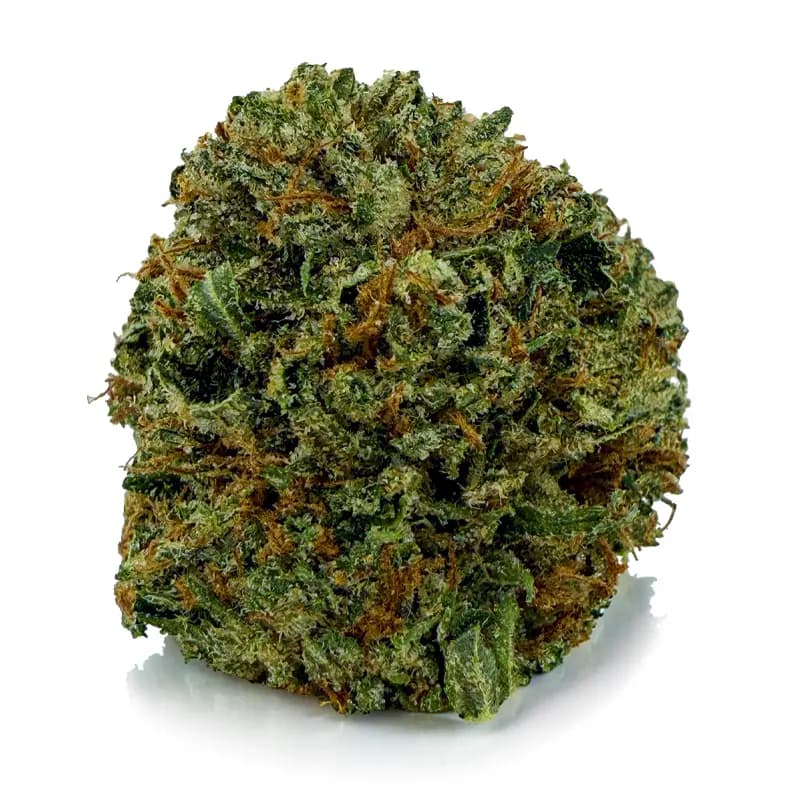 PINK ROZAY related flower listing