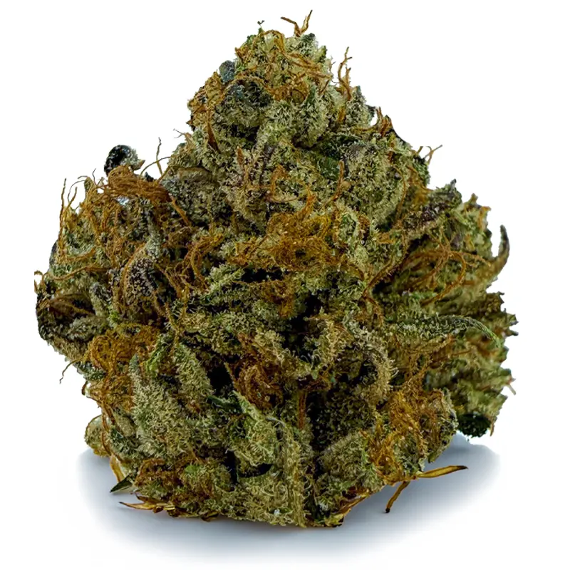 PINK DEATH flower listing