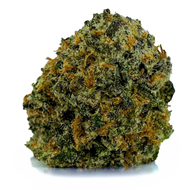 PEANUTBUTTER BREATHE related flower listing