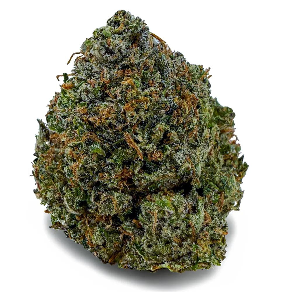 PINK GODZILLA related flower listing