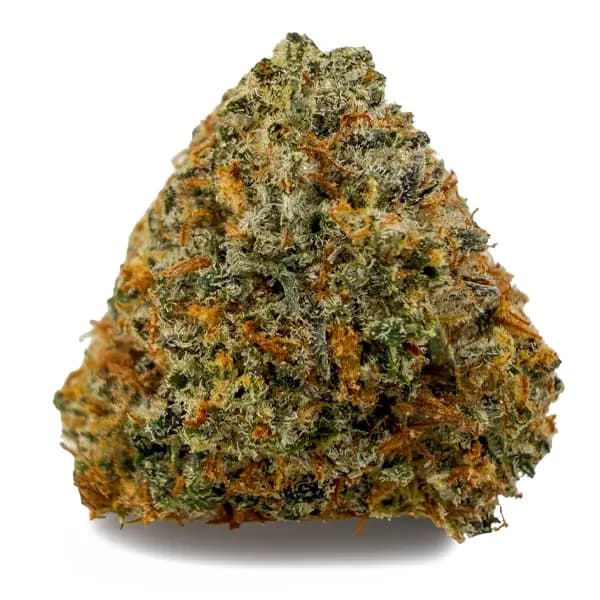 PURPLE PUNCH related flower listing