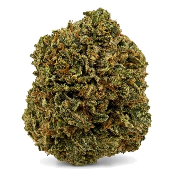 MASTER KUSH (AAA+) related flower listing